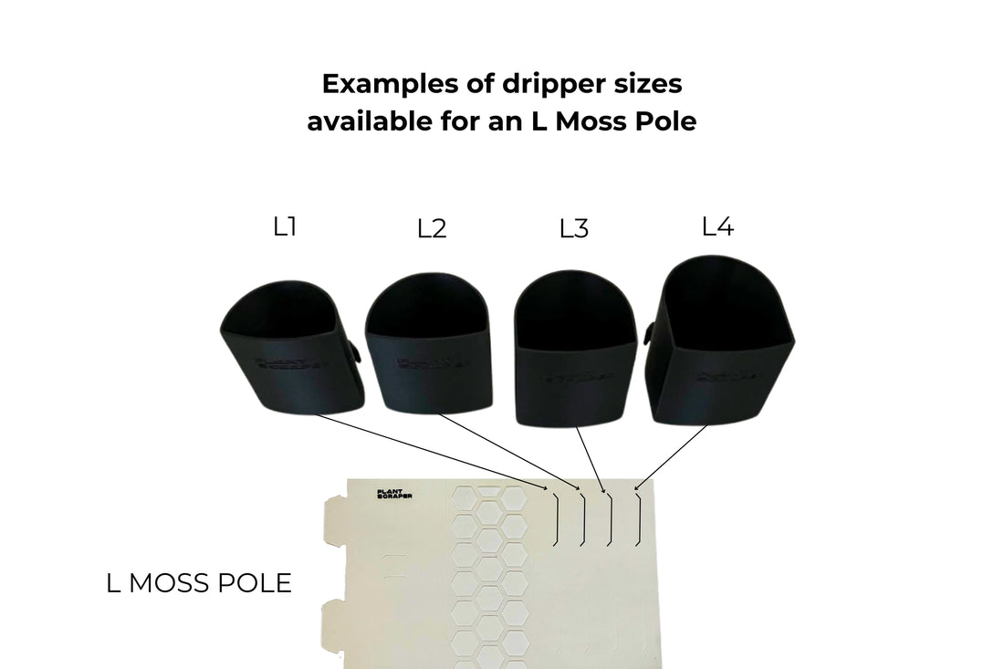 Moss Pole Rapid Dripper