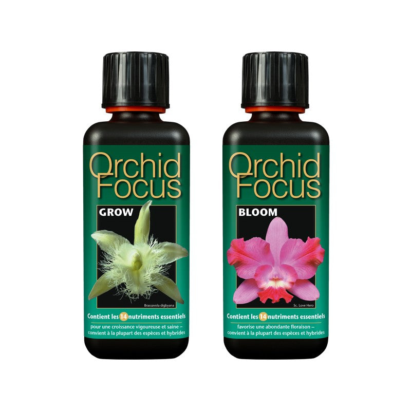 ENGRAIS Orchid Focus