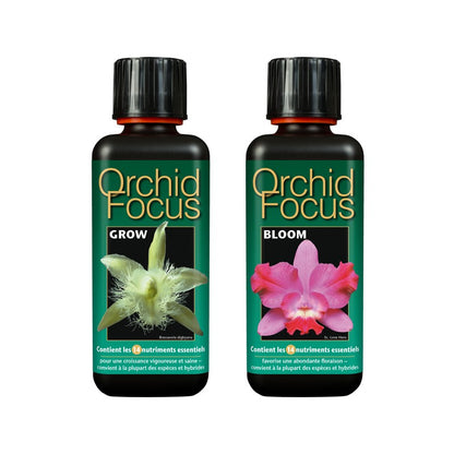 ENGRAIS Orchid Focus