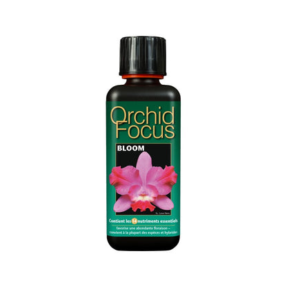 ENGRAIS Orchid Focus